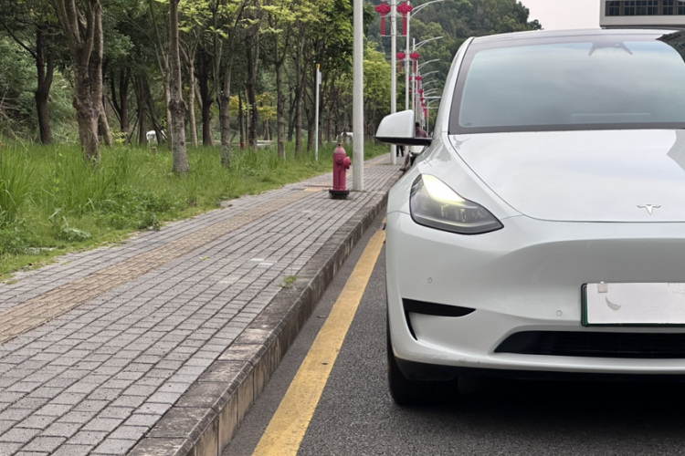Tesla Model Y 2023 car image #6
