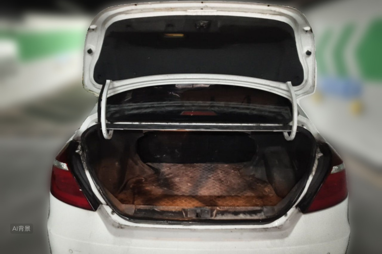 GEELY Emgrand 2017 car image #21