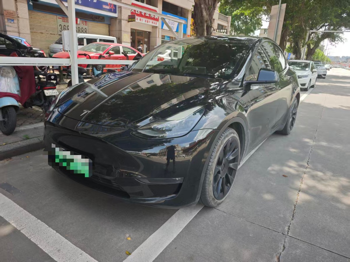 Tesla Model Y 2021 car image 