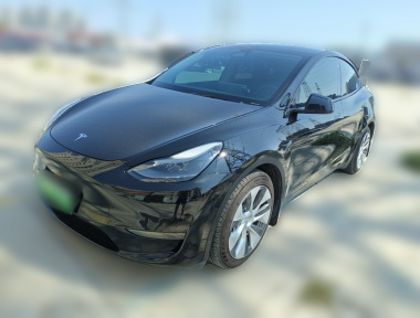 Tesla Model Y 2021 Tesla Model Y 2021 car image