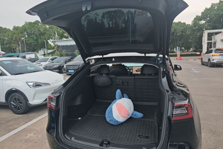 Tesla Model Y 2023 car image #19