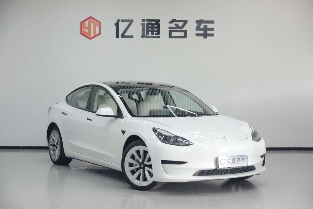 Tesla Model 3 2021 imagem de carro #3