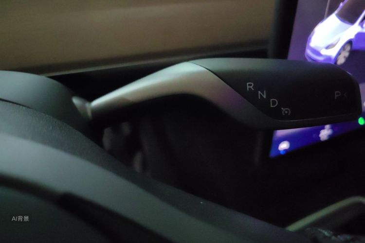 Tesla Model Y 2021 #17 Tesla Model Y 2021 صورة سيارة #17