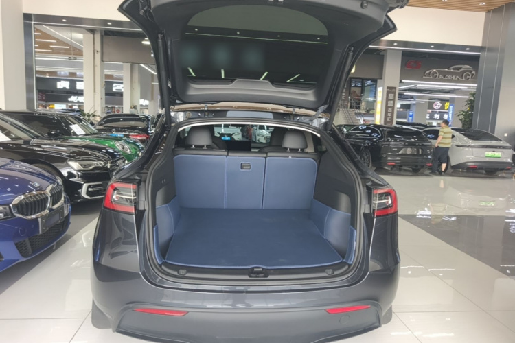 Tesla Model Y 2025 #19 Tesla Model Y 2025 car image #19