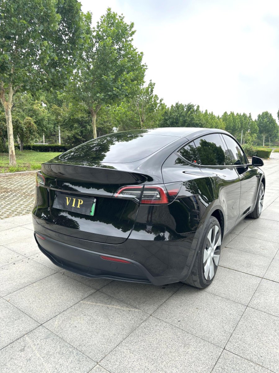 Tesla Model Y 2024 car image #5
