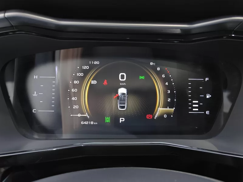 GEELY Tugella S 2021 imagem de carro #16