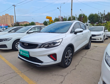 GEELY Emgrand GS 2020 car image 