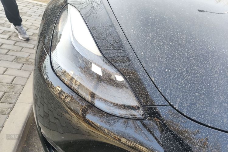 Tesla Model Y 2021 #8 Tesla Model Y 2021 car image #8