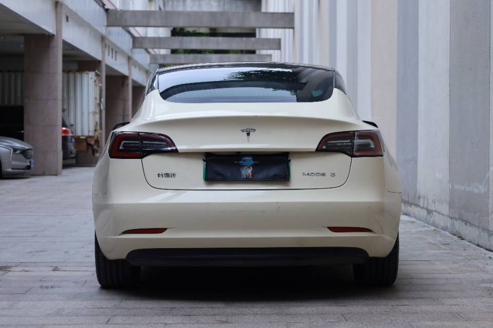 Tesla Model 3 2020 #6 Tesla Model 3 2020 car image #6