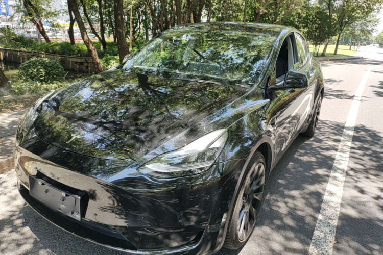 Tesla Model Y 2022 car image #2