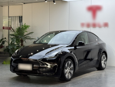 Tesla Model Y 2022 Tesla Model Y 2022 car image