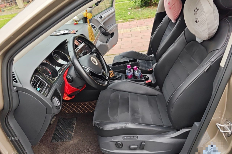 Volkswagen Golf 2019 car image #17