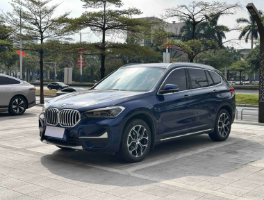 BMW X1 2020 BMW X1 2020 imagen de coche