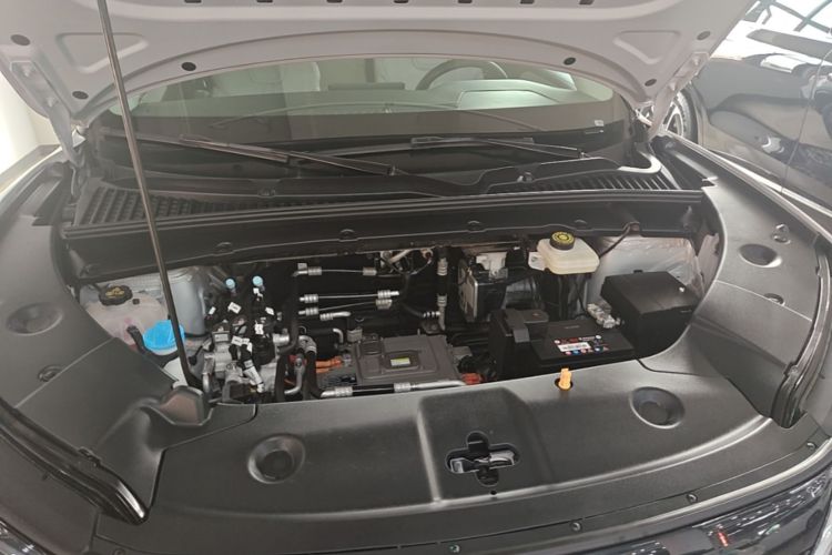 BYD YuanUP 2024 #20 BYD YuanUP 2024 car image #20