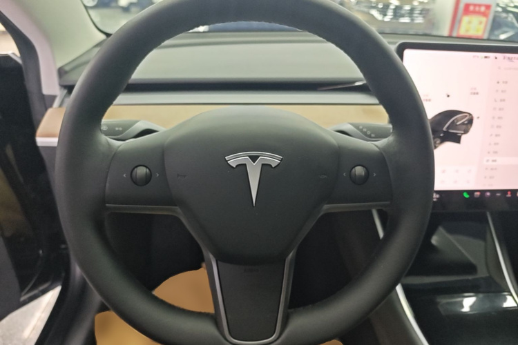 Tesla Model 3 2020 car image #11