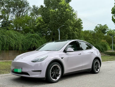 Tesla Model Y 2021 Tesla Model Y 2021 car image