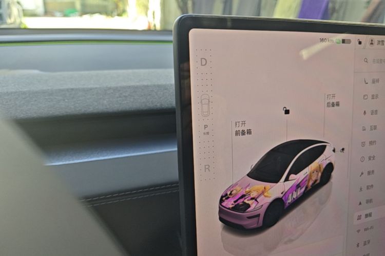 Tesla Model Y 2025 car image #14