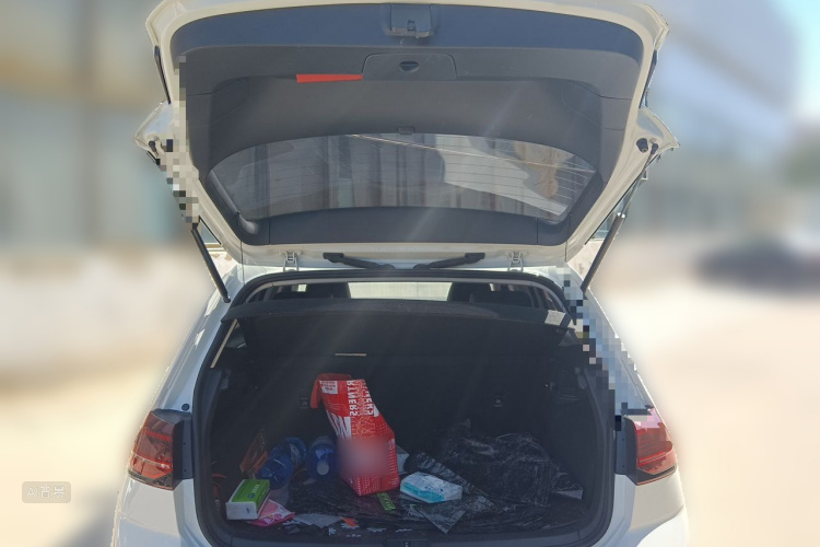 Volkswagen Golf 2019 car image #21