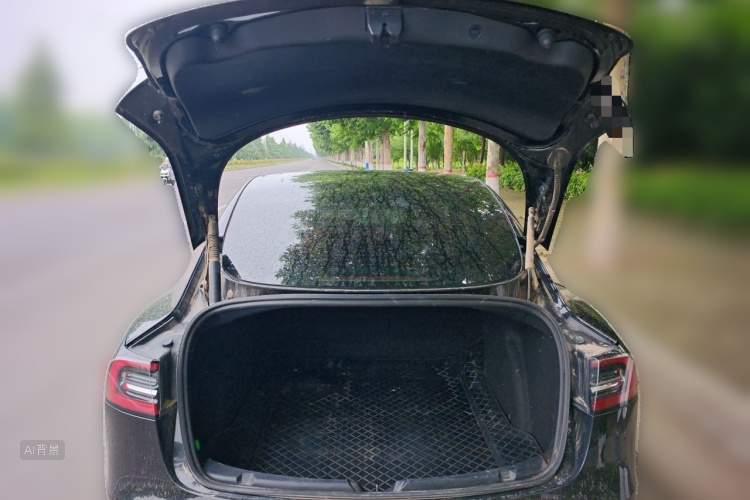 Tesla Model 3 2021 #21 Tesla Model 3 2021 car image #21