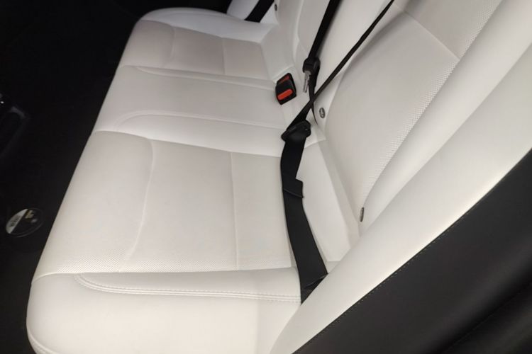 Tesla Model 3 2023 car image #13