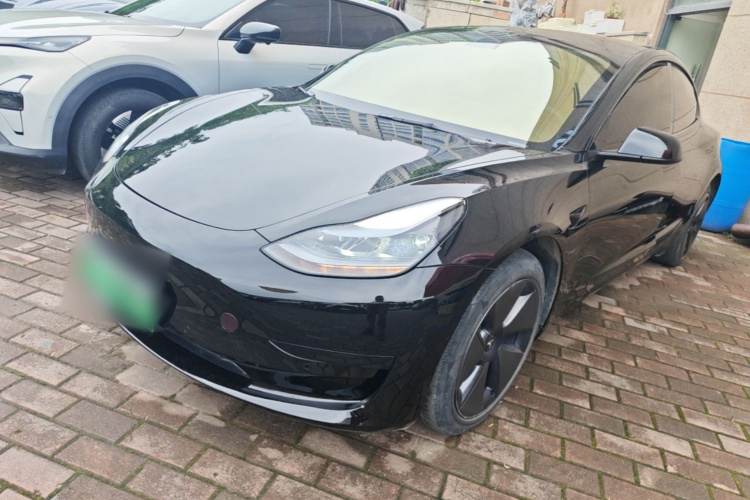 Tesla Model 3 2023 #2 Tesla Model 3 2023 car image #2