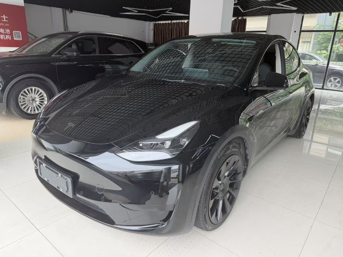 Tesla Model Y 2022 Tesla Model Y 2022 car image