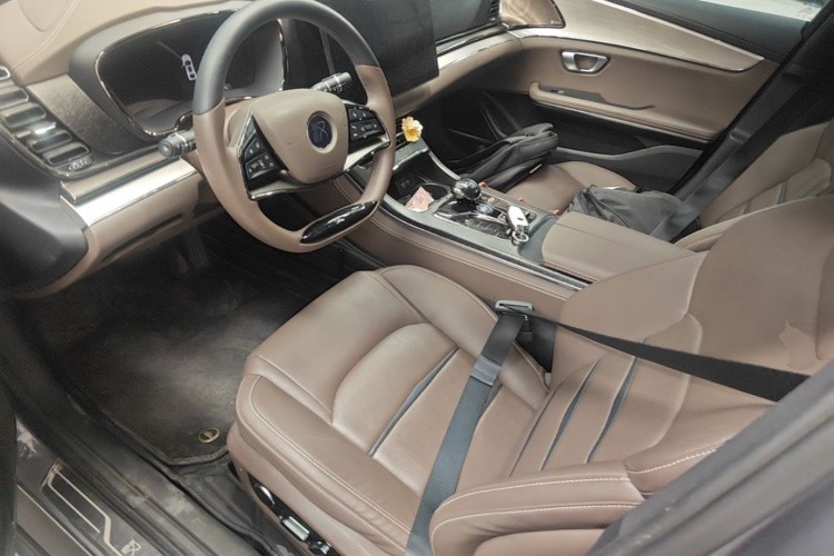 BYD Han 2021 #15 BYD Han 2021 immagine di auto #15