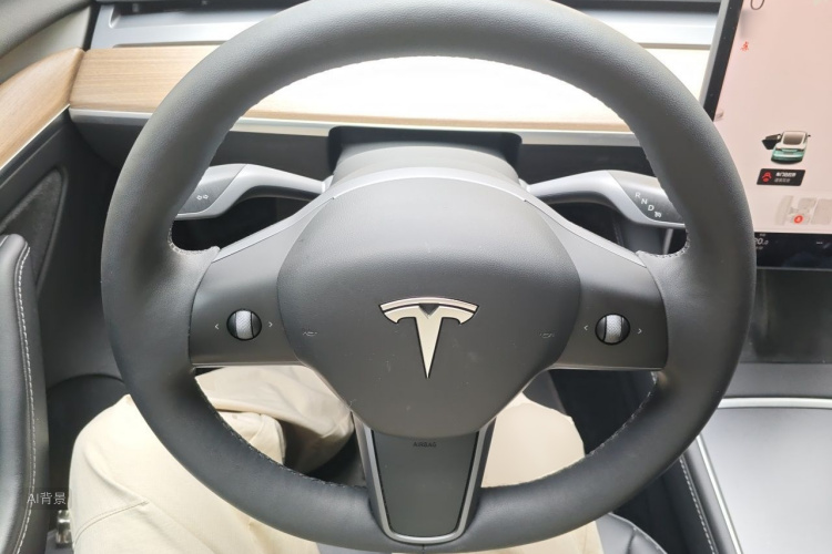 Tesla Model 3 2021 car image #12
