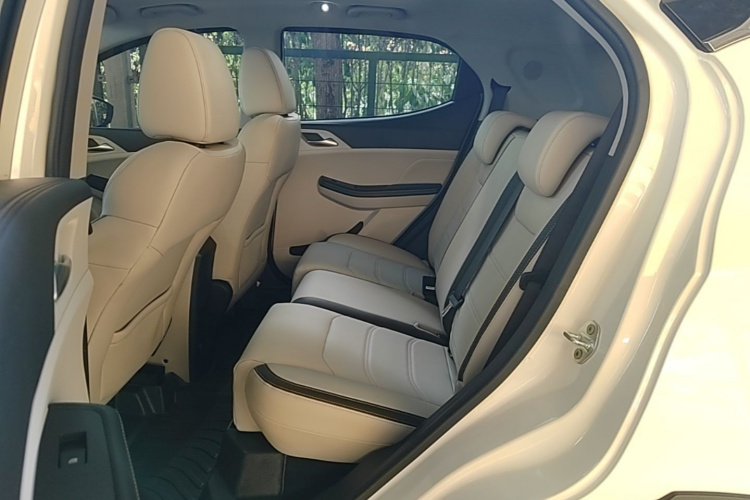 BYD Yuan Pro 2021 car image #17