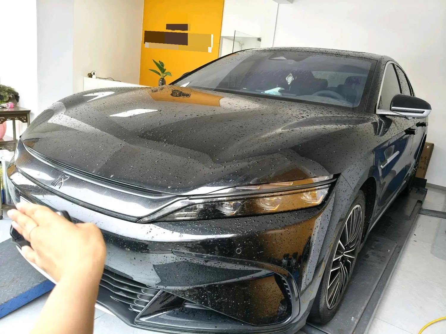 BYD Han 2023 car image 