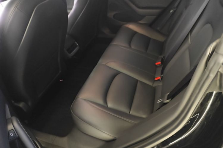 Tesla Model 3 2021 #13 Tesla Model 3 2021 immagine di auto #13