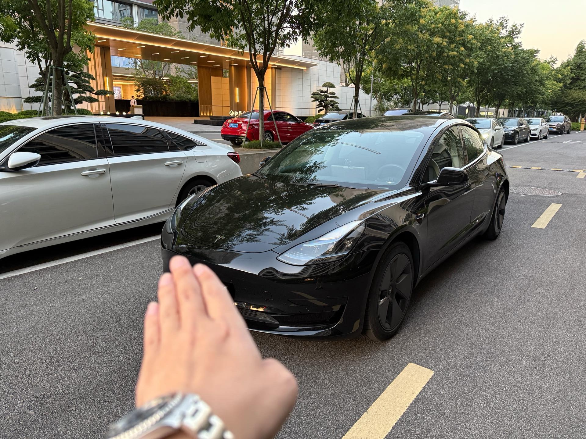 Tesla Model 3 2023 car image 