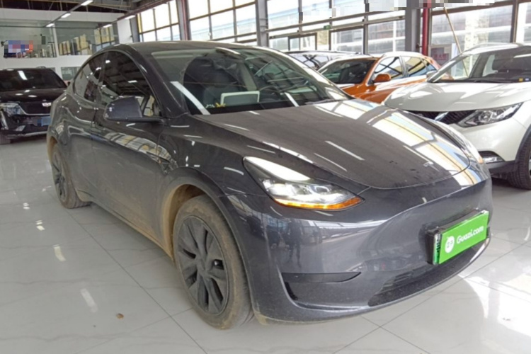 Tesla Model Y 2024 car image #4