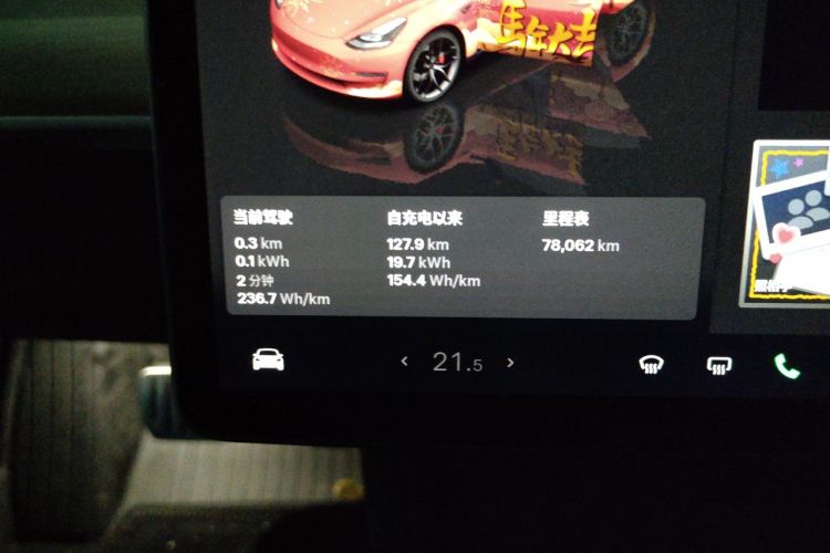 Tesla Model 3 2022 #10 Tesla Model 3 2022 car image #10