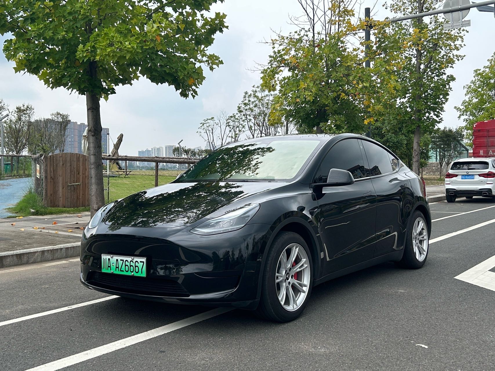Tesla Model Y 2023 car image 
