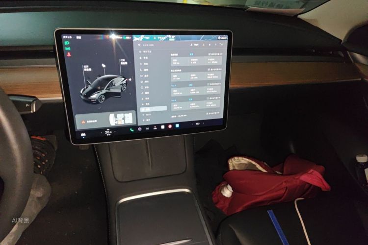 Tesla Model 3 2021 car image #15