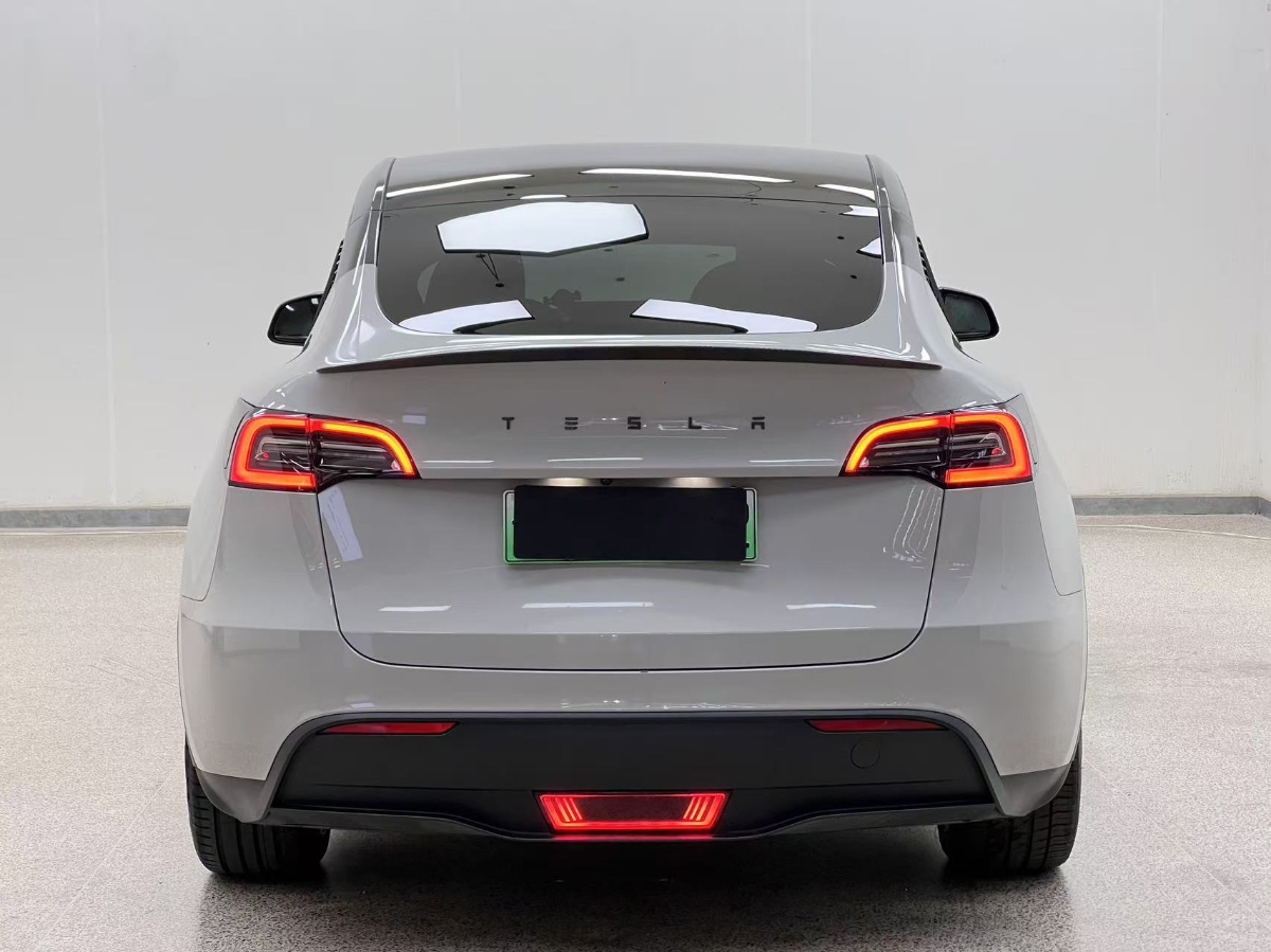 Tesla Model Y 2021 #8 Tesla Model Y 2021 car image #8