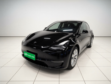 Tesla Model Y 2021 Tesla Model Y 2021 car image
