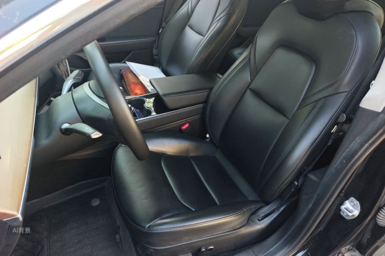 Tesla Model 3 2020 immagine di auto #17