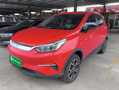 BYD Yuan Pro 2021 immagine di auto 