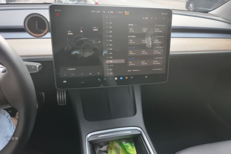 Tesla Model 3 2021 car image #15