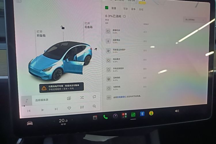 Tesla Model Y 2021 car image #13