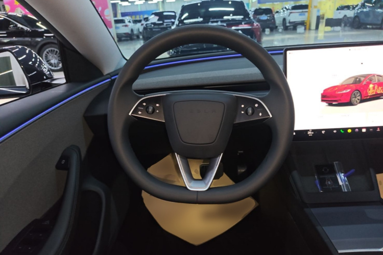 Tesla Model 3 2025 car image #11