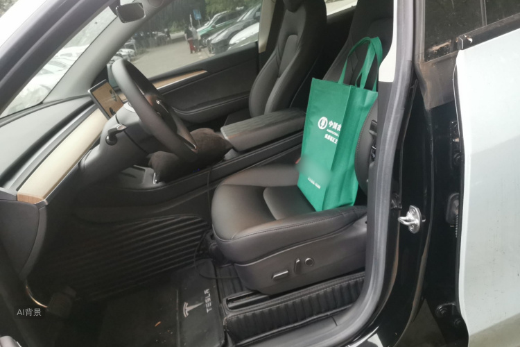 Tesla Model Y 2022 car image #17