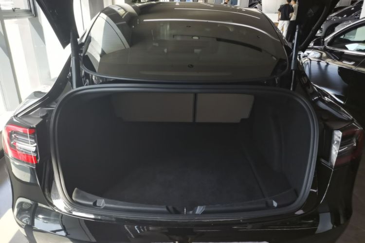 Tesla Model 3 2021 #19 Tesla Model 3 2021 car image #19