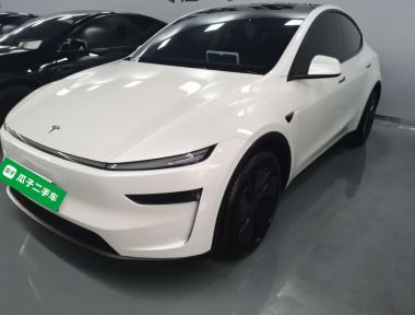 Tesla Model Y 2025 Tesla Model Y 2025 car image