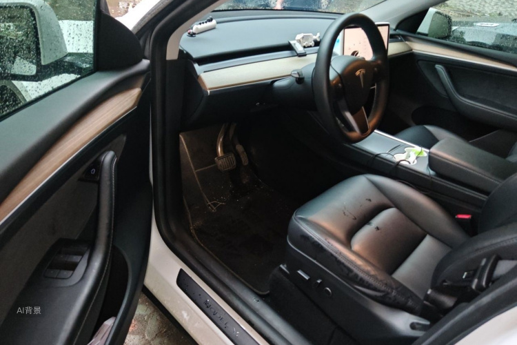 Tesla Model Y 2023 #18 Tesla Model Y 2023 car image #18