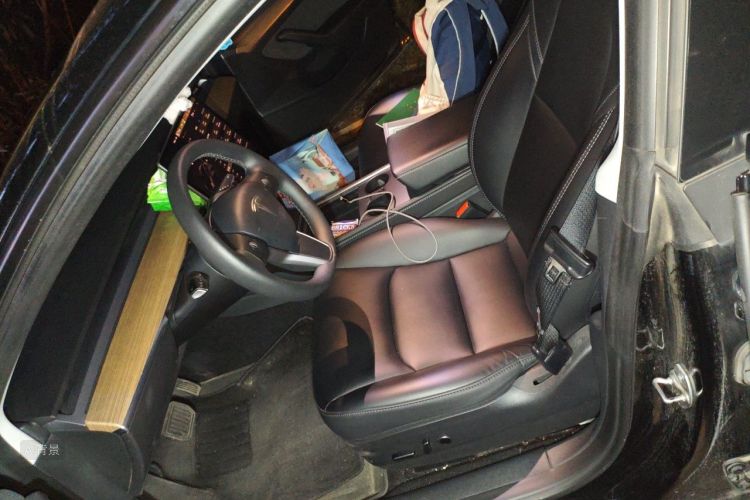 Tesla Model 3 2023 #17 Tesla Model 3 2023 صورة سيارة #17