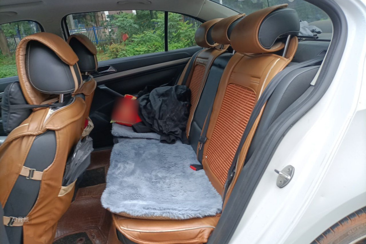 Volkswagen Lavida 2016 #19 Volkswagen Lavida 2016 car image #19