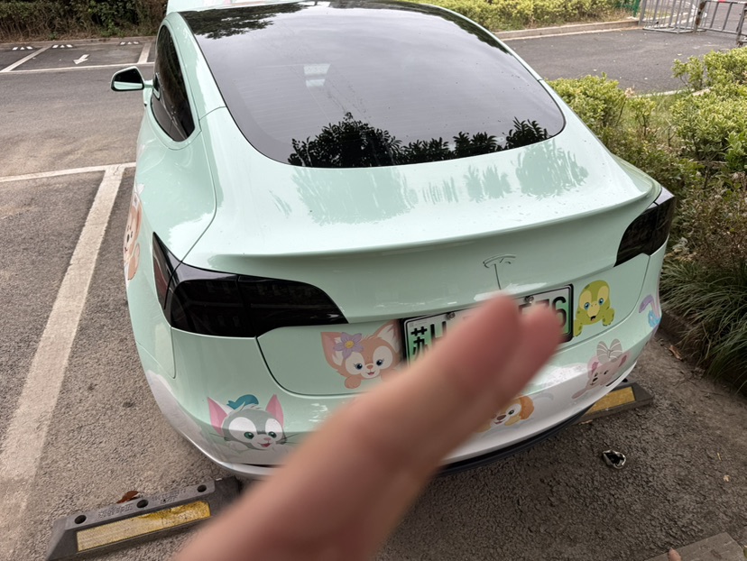 Tesla Model 3 2021 #6 Tesla Model 3 2021 car image #6